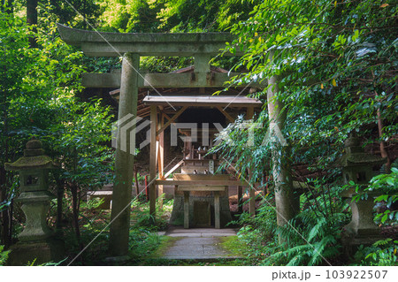 京都 日向大神宮 森の中の祠 厳島神社 103922507
