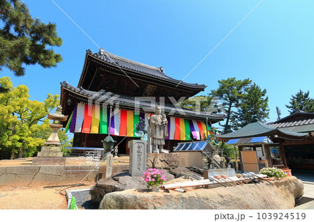 【香川県】四国霊場「第75番札所」総本山善通寺(本堂、金堂) 【香川県】四国霊場「第75番札所」総本山善通寺(本堂、金堂) 103924519