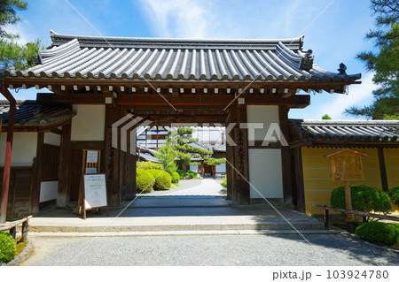 大覚寺　門　若葉に新緑　青もみじ 103924780
