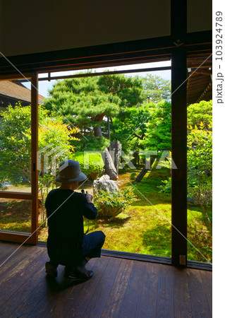 庭園　大覚寺　若葉に新緑　青もみじ 103924789