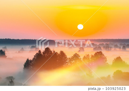 Amazing Sunrise Sunset Over Misty foggy Landscape Scenic View Of Morning Sky With Rising Sun Above Forest. sunrise sky 103925023