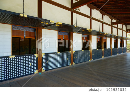 大覚寺 若葉に新緑 青もみじ 大覚寺 若葉に新緑 青もみじ 103925033