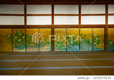 大覚寺　若葉に新緑　青もみじ 103925034