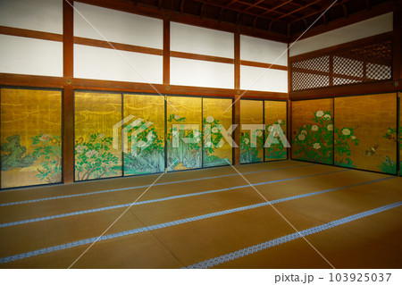 大覚寺　若葉に新緑　青もみじ 103925037