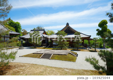 大覚寺　若葉に新緑　青もみじ 103925044