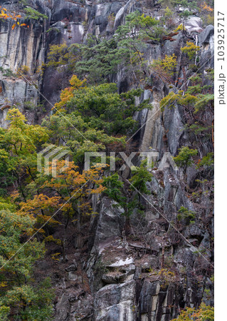 昇仙峡の寒山拾得岩 103925717