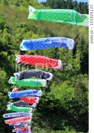 ミニこいのぼり　（高知県　梼原町） 103926137