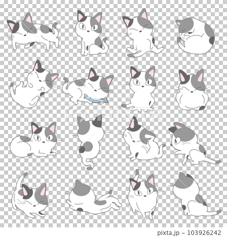 Vector illustration set of black and white cats Vector illustration set of black and white cats 103926242
