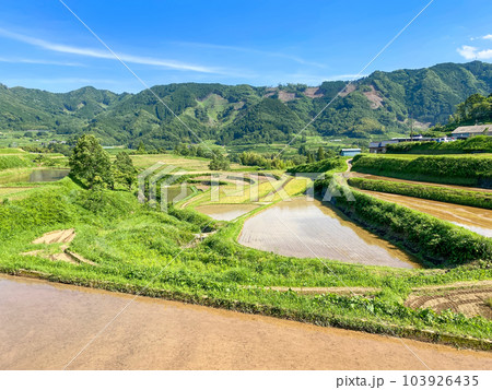 新緑の高千穂 栃又棚田 新緑の高千穂 栃又棚田 103926435