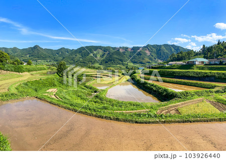 新緑の高千穂 栃又棚田 新緑の高千穂 栃又棚田 103926440