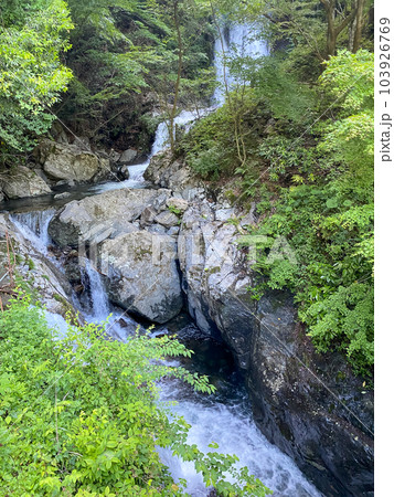 新緑の常光寺の滝 新緑の常光寺の滝 103926769