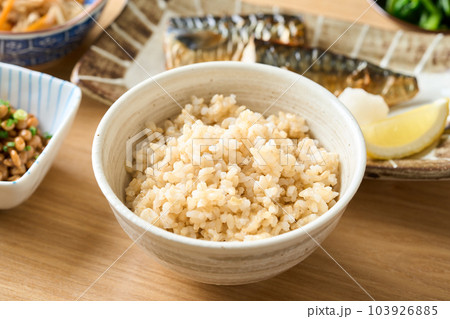 玄米ご飯 玄米ご飯 103926885