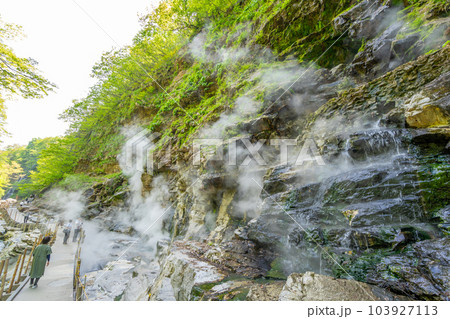 小安峡大噴湯 春 新緑 小安峡大噴湯 春 新緑 103927113