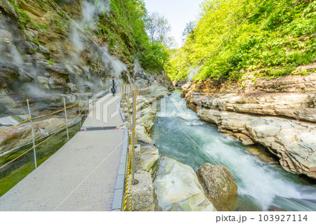 小安峡大噴湯　春　新緑 103927114