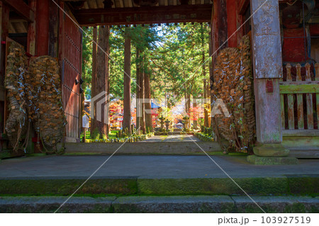 雲洞庵　赤門　紅葉　新潟県南魚沼市　　 103927519