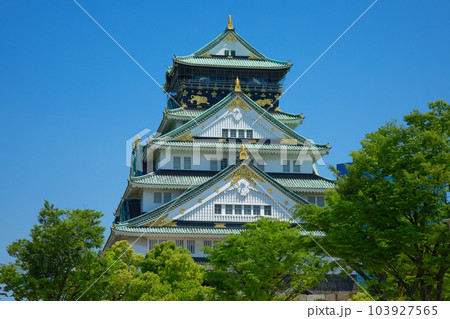 大阪城 大阪城公園 若葉に新緑 青もみじ 大阪城 大阪城公園 若葉に新緑 青もみじ 103927565