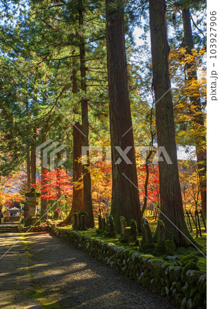 雲洞庵　参道　紅葉　新潟県南魚沼市　　 103927906