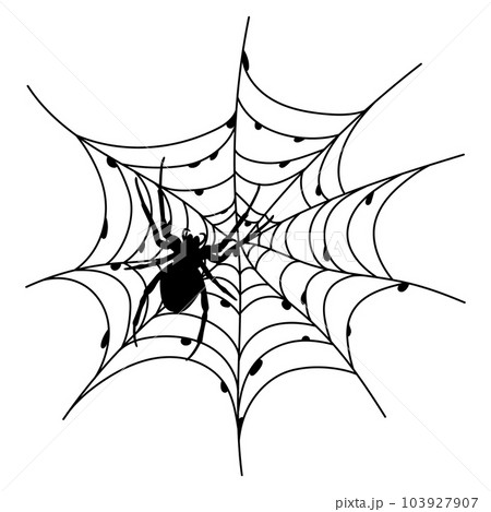 Scary black spider web isolated on white. Spooky halloween decoration. Scary black spider web isolated on white. Spooky halloween decoration. 103927907
