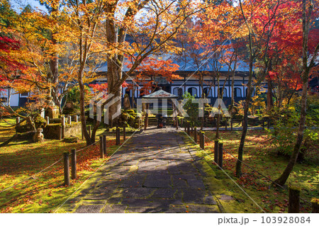 雲洞庵 本堂 大香炉 紅葉 新潟県南魚沼市 雲洞庵 本堂 大香炉 紅葉 新潟県南魚沼市 103928084