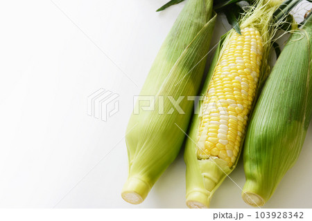 採れたてのドルチェドリーム（トウモロコシ） 103928342
