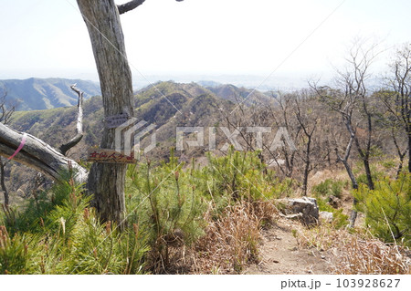 前仙人ケ岳から仙人ケ岳に向かう登山道にある小ピーク　女仙人ケ岳　2023年4月4日 103928627
