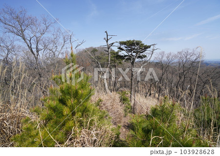 前仙人ケ岳から仙人ケ岳に向かう登山道から仙人ケ岳方面を見る 2023年4月4日 前仙人ケ岳から仙人ケ岳に向かう登山道から仙人ケ岳方面を見る 2023年4月4日 103928628
