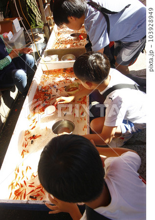 縁日の金魚すくいに夢中になる子供達。お祭りの日は神社の境内は大人も子供も食べ歩いたりで大賑わい 縁日の金魚すくいに夢中になる子供達。お祭りの日は神社の境内は大人も子供も食べ歩いたりで大賑わい 103928949