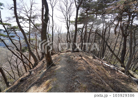 仙人ケ岳から前仙人ケ岳に向かう登山道　仙人ケ岳の山頂付近　2023年4月4日 103929386