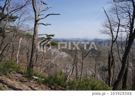 仙人ケ岳から前仙人ケ岳に向かう登山道　仙人ケ岳の山頂付近から足利市方面を見る　2023年4月4日 103929388