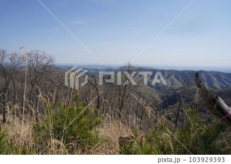 仙人ケ岳から前仙人ケ岳に向かう登山道から足利市方面を見る　2023年4月4日 103929393