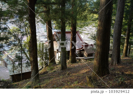 前仙人ケ岳の登山口がある桐生市菱町の塩宮神社　2023年4月4日 103929412