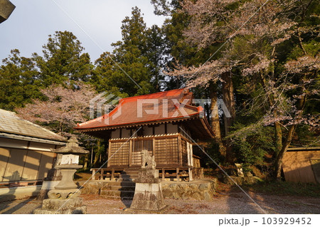 前仙人ケ岳の登山口がある桐生市菱町の塩宮神社 2023年4月4日 前仙人ケ岳の登山口がある桐生市菱町の塩宮神社 2023年4月4日 103929452