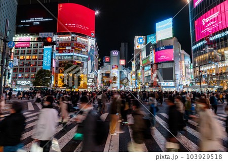 《東京都》渋谷駅前・スクランブル交差点 103929518