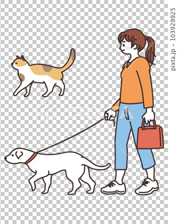 A young woman walking with a dog, a stray cat 103929925