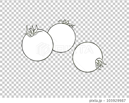 Line drawing illustration of three simple mini tomatoes 103929987