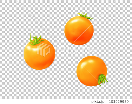 Realistic watercolor illustration of three kinds of yellow mini tomatoes 103929989