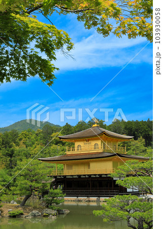 世界遺産　京都のお寺　金閣寺（鹿苑寺）の景観 103930058