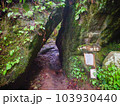 岩 トンネル 木 苔 自然 緑 山道 登山 ハイキング 風景 103930440