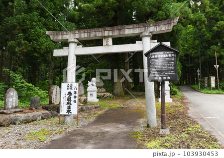 【南魚沼市 山岳信仰の霊山「八海神社」新潟県指定天然記念物の参道杉並木と一ノ鳥居】 【南魚沼市 山岳信仰の霊山「八海神社」新潟県指定天然記念物の参道杉並木と一ノ鳥居】 103930453