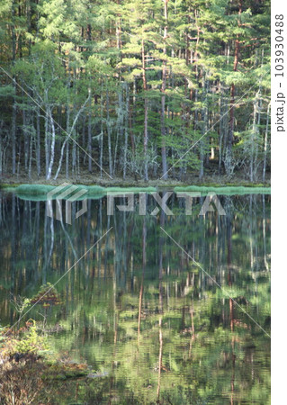 御射鹿池の春景色 103930488