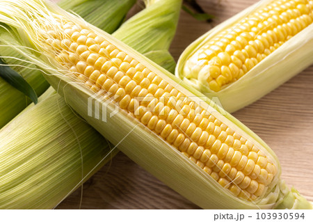生食でおいしいトウモロコシ 103930594