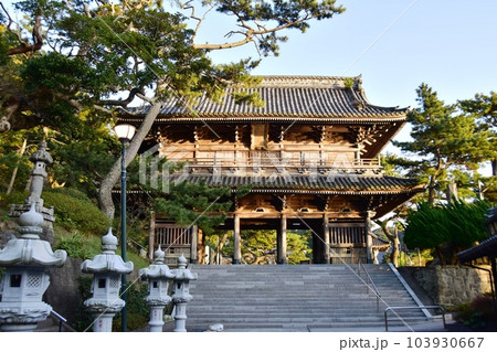 鴨川市 誕生寺仁王門と松の木 鴨川市 誕生寺仁王門と松の木 103930667