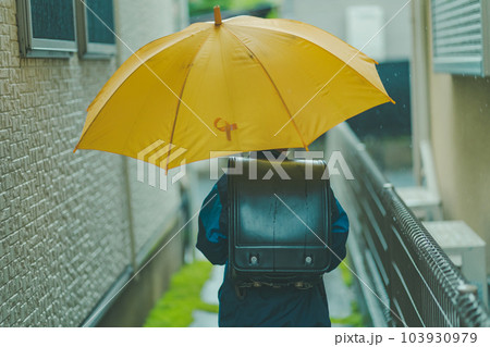 raining raining 103930979
