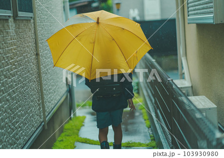 raining raining 103930980