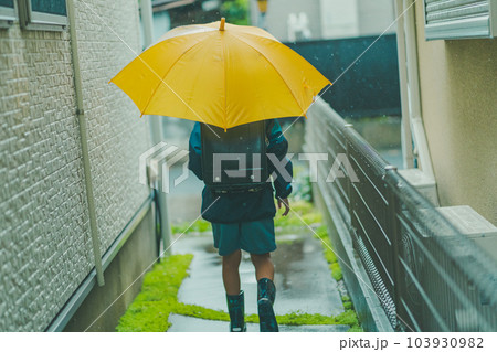 raining raining 103930982
