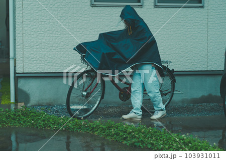 raining raining 103931011