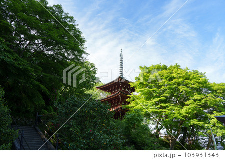 新緑の岡寺三重塔 103931343