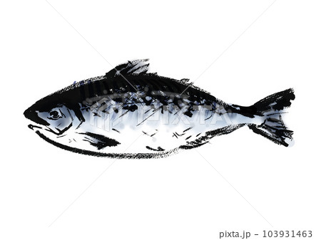 最高級の鮭　鮭児（ケイジ）の手描き和風イラスト和風素材 103931463