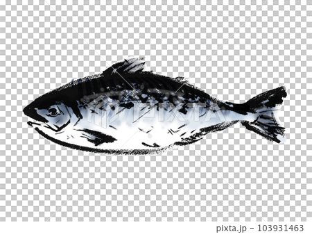 極品三文魚 慶次（Keiji）日式素材手繪日式插畫 103931463