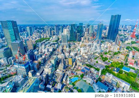 東京風景　2023初夏　大都会の木漏れ日 103931801